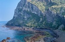 Eastern Jeju: All Inclusive Private Tour w/ Tangerine picking