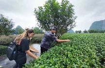 Li River Cruise Reed Flute Cave Elephant Hill Daxu Town Day Tour