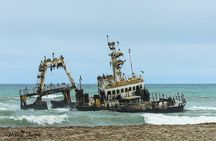 Skeleton Coast Cape Cross Seal Colony Tour