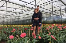 Dalat Discovery Elephant Falls , Pongour Falls & Countryside Tour