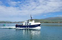 Dolphin Discovery Eco Tour
