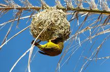 Small Group 3 Day Garden Route Adventure from Cape Town