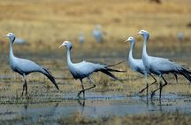 Half Day iSimangaliso Boat Safari Tour To Richards Bay