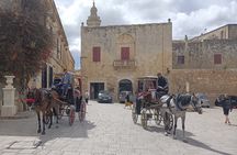 Full Day Private Tour in Valletta, Mdina, Rabat and Dingli Cliffs
