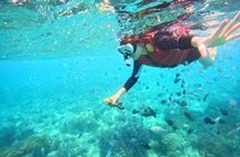 Snorkeling Experience at Mun Island Marine Park
