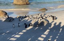 Private tour in Cape of Good Hope and Penguins from Cape Town