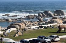 Private tour in Cape of Good Hope and Penguins from Cape Town