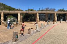 Private tour in Cape of Good Hope and Penguins from Cape Town