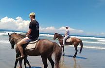 Bali Horse Riding Seminyak Beach Experience Private Transport