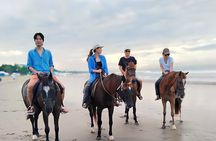 Bali Horse Riding Seminyak Beach Experience Private Transport