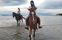 Bali Horse Riding Seminyak Beach Experience Private Transport