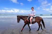 Bali Horse Riding Seminyak Beach Experience Private Transport