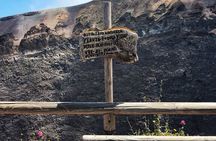 Pompeii Guided Tour & Mount Vesuvius in Small Group