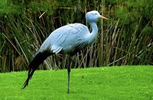 Isimangaliso Wetlands Park from Durban Half Day Tour