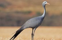 Tala Game Reserve and Natal Park from Durban