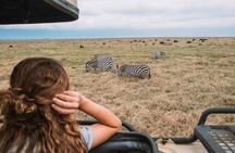 4 Days Wildlife Safari in Tanzania