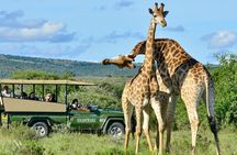 Full Day Phezulu Safari & Durban City Tour
