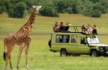 Full Day Tala Game Reserve & Durban City Tour