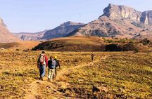 Half Day Safari Hiking to Drakensberg Mountains from Durban