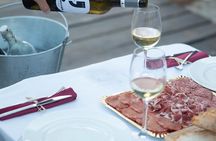 Wine tasting and picnic at the Bouquet d'Alella winery