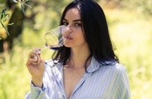 Wine tasting in Lucca