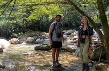 Birdwatching in Guatapé with Around 400 Bird Species