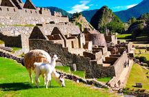 Private Guided Tour in Machu Picchu
