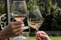 Wine experience in the Tuscan hills with tasting in Vinci