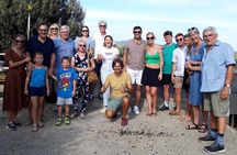 Wine experience in the Tuscan hills with tasting in Vinci