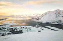Lofoten Islands: Guided Snowshoeing Tour - Uphill version 