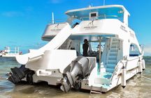 Infinity Half Day Tour Snorkeling
