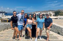 Private Tour- 4 Hours Mykonos Island