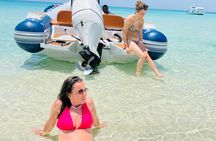 Private Speed Boat 4 Hours to White Island and Dolphin House 
