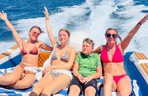 Private Speed Boat 4 Hours to White Island and Dolphin House 