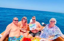 Private Speed Boat 4 Hours to White Island and Dolphin House 