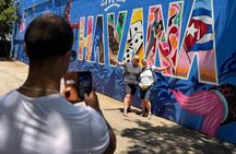 Influencer Experience (Wynwood and CityTour) Miami