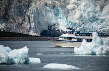 Kenai Fjords National Park Glacier & Wildlife Tour from Seward