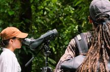 Manuel Antonio Esquipulas Birdwatching Tour
