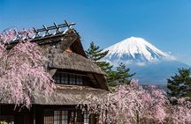 Japan Mount Fuji Tour