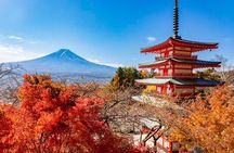 Japan Mount Fuji Tour