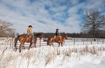Horseback Riding in Niagara with a Trail Riders Experience