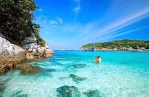 Cham Islands Snorkeling Trip by Speedboat from Hoi An/DaNang