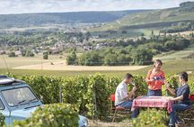 Champagne Tasting & Vineyard Tour in France’s Marne Valley