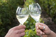 Champagne Tasting & Vineyard Tour in France’s Marne Valley