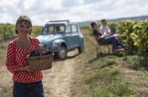 Champagne Tasting & Vineyard Tour in France’s Marne Valley