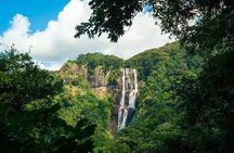 3-Day Safari in Mikumi, Udzungwa NP and Maasai Village Tour
