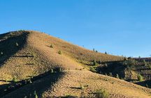 Munnar Daily Tour