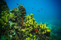 Try Scuba Diving for Beginners by Boat on Diaporos Island
