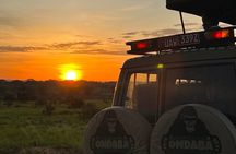 2Days Murchison Falls NP Safari 
