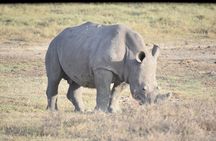 Explore Kenya: 5-Day Group Safari Adventure